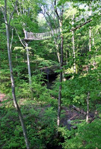 Hocking Hills Canopy Tours and Zipline Tours