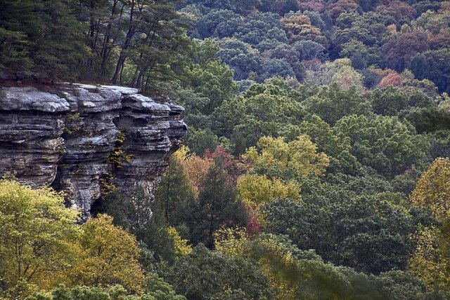 Conkle's Hollow State Nature Preserve-Hocking Hills Ohio