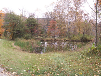 Hocking Hills Lodges-Wyrick's Hillside Lodges Photos