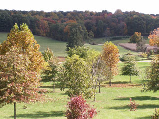 Hocking Hills Cabin Rentals-Pleasant Valley