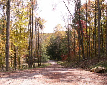 Hocking Hills Pictures- Sandstone Lodge