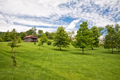 Hocking Hills Ohio Landscape